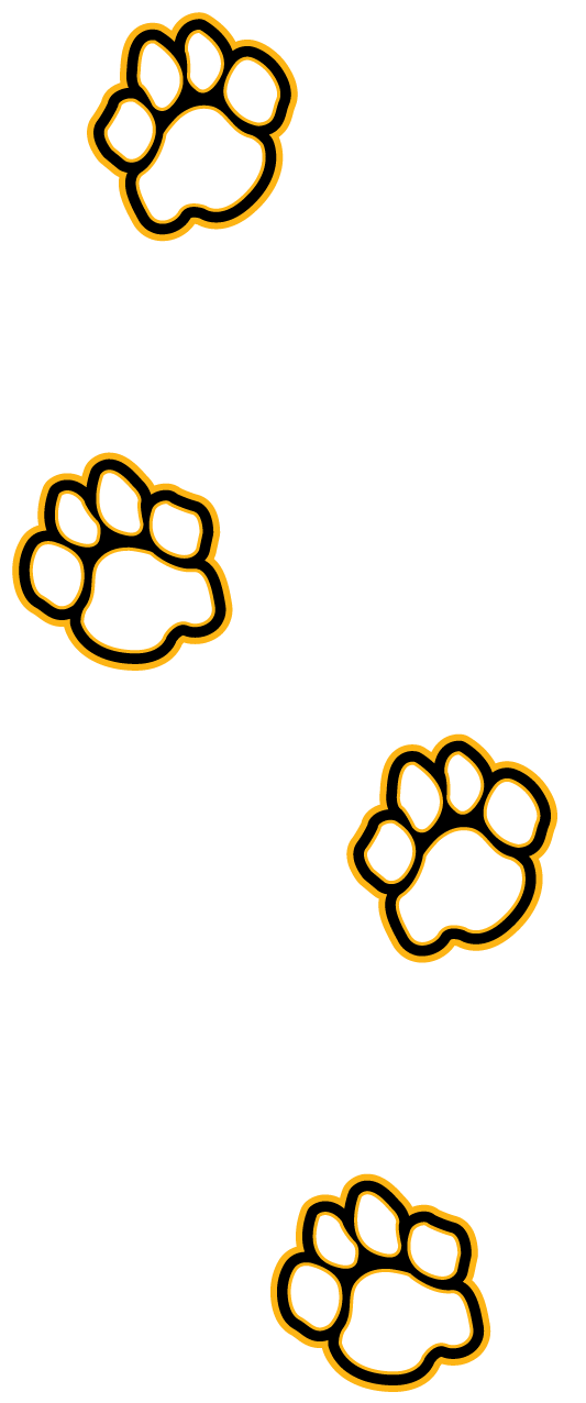 A graphic drawing of a dog's paw print